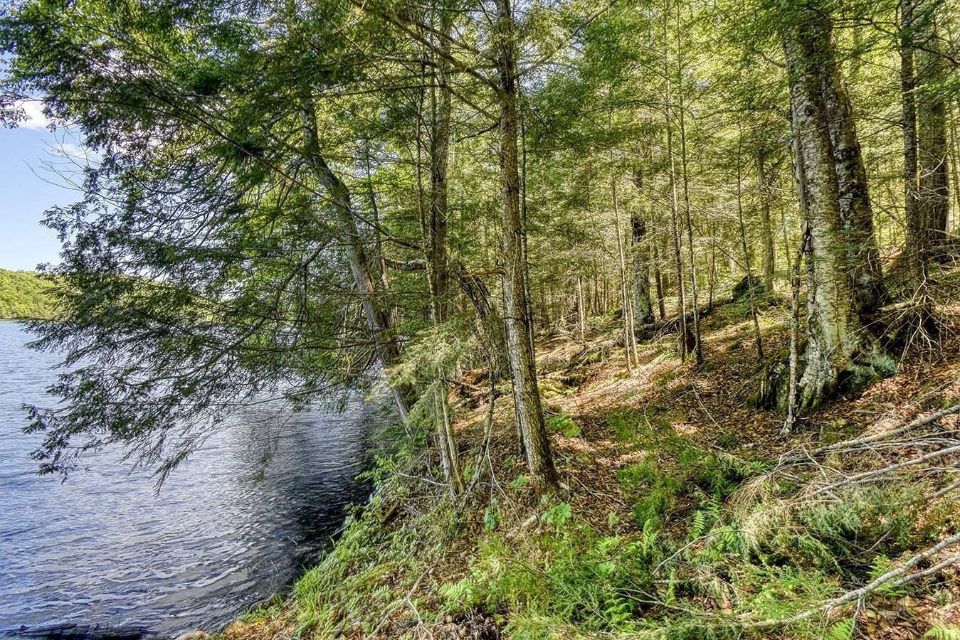 Bord de l'eau - Lac-Des-Écorces, Barkmere, QC