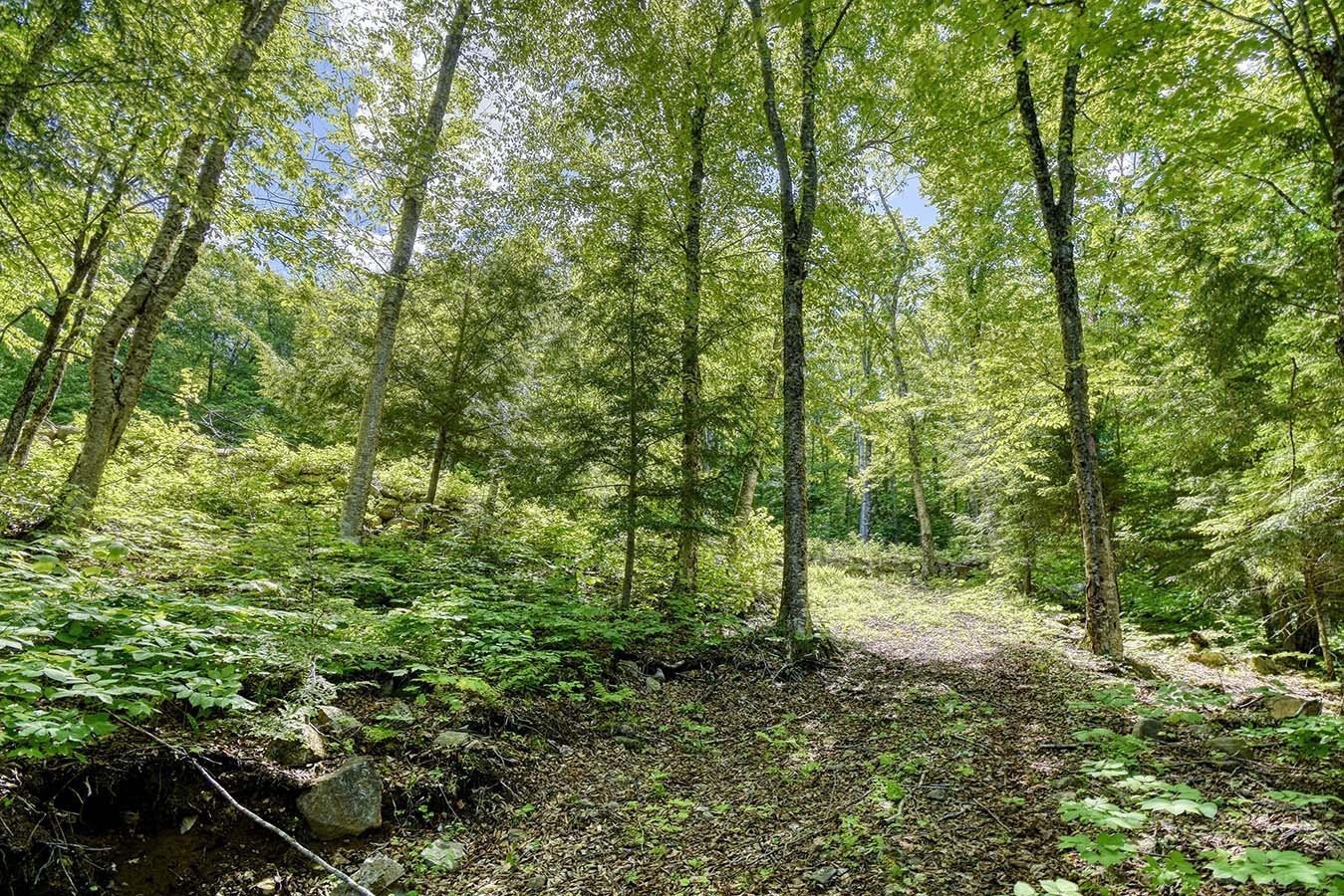 Vue d'ensemble - Lac-Des-Écorces, Barkmere, QC