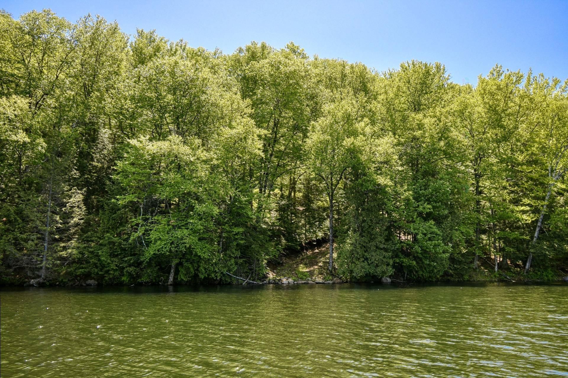 Vue d'ensemble - Lac-Des-Écorces, Barkmere, QC