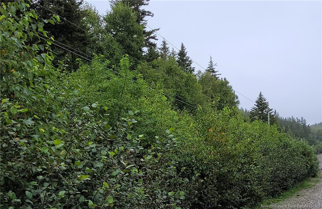 341 Fundy Dr, Wilsons Beach, NB