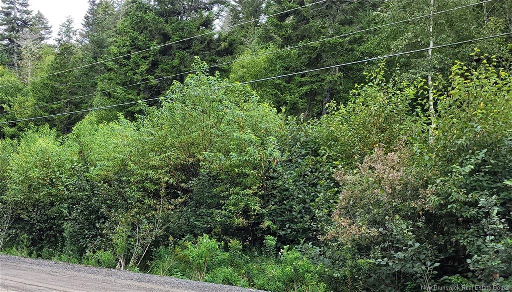 341 Fundy Dr, Wilsons Beach, NB