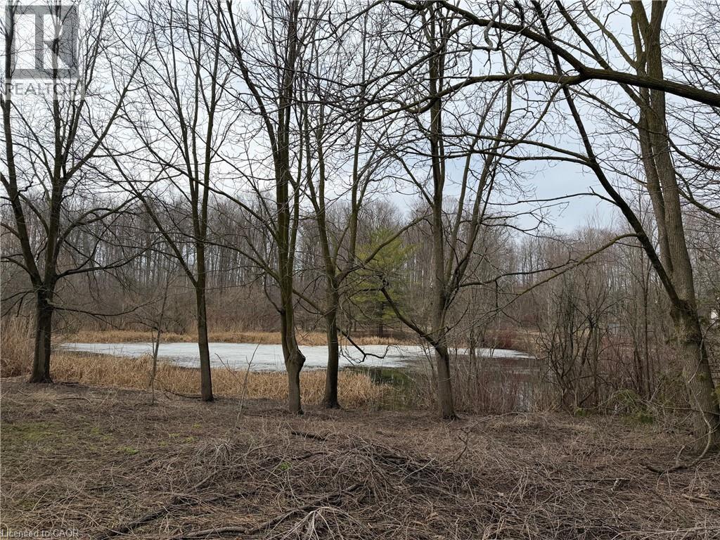 124 Autumn Hill Crescent, Kitchener, ON - Outdoor With View