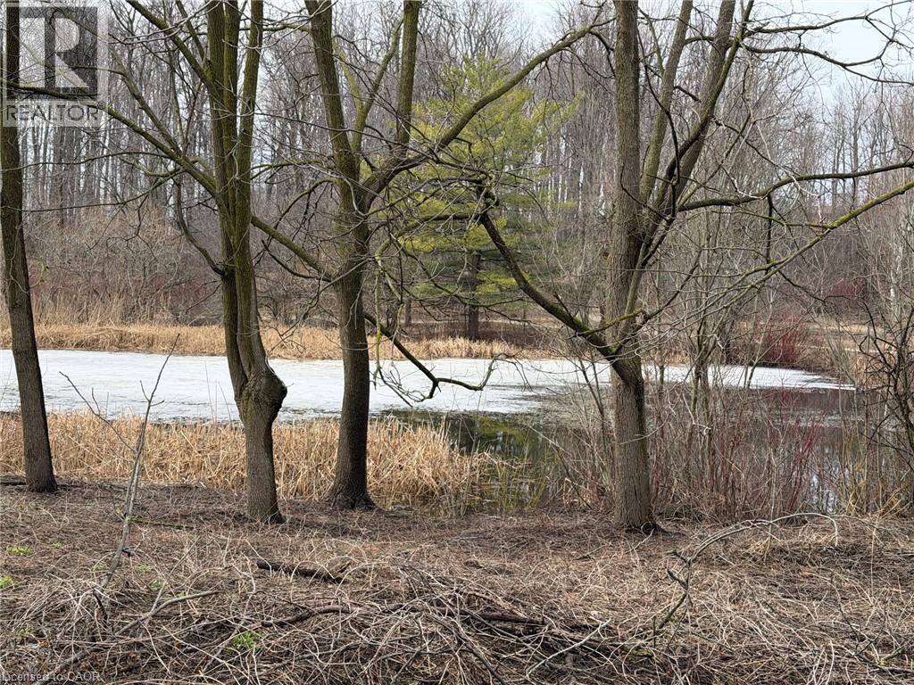 124 Autumn Hill Crescent, Kitchener, ON - Outdoor With View