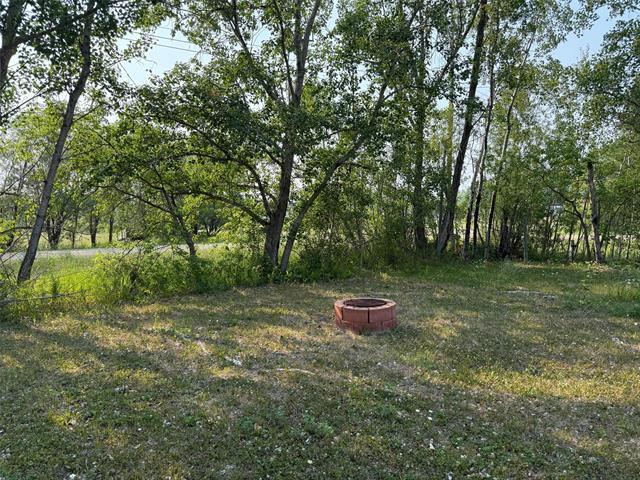 1 Birch Pl, Alexander Rm, MB