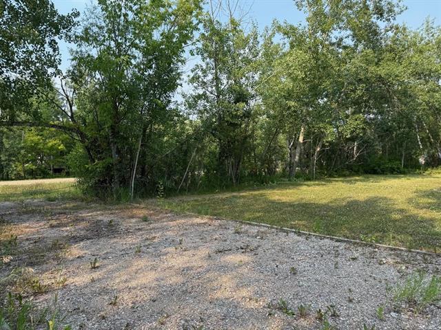 1 Birch Pl, Alexander Rm, MB