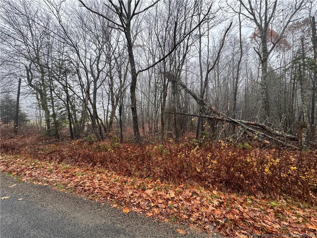 25-01 St. David Ridge Rd, Oak Bay, NB