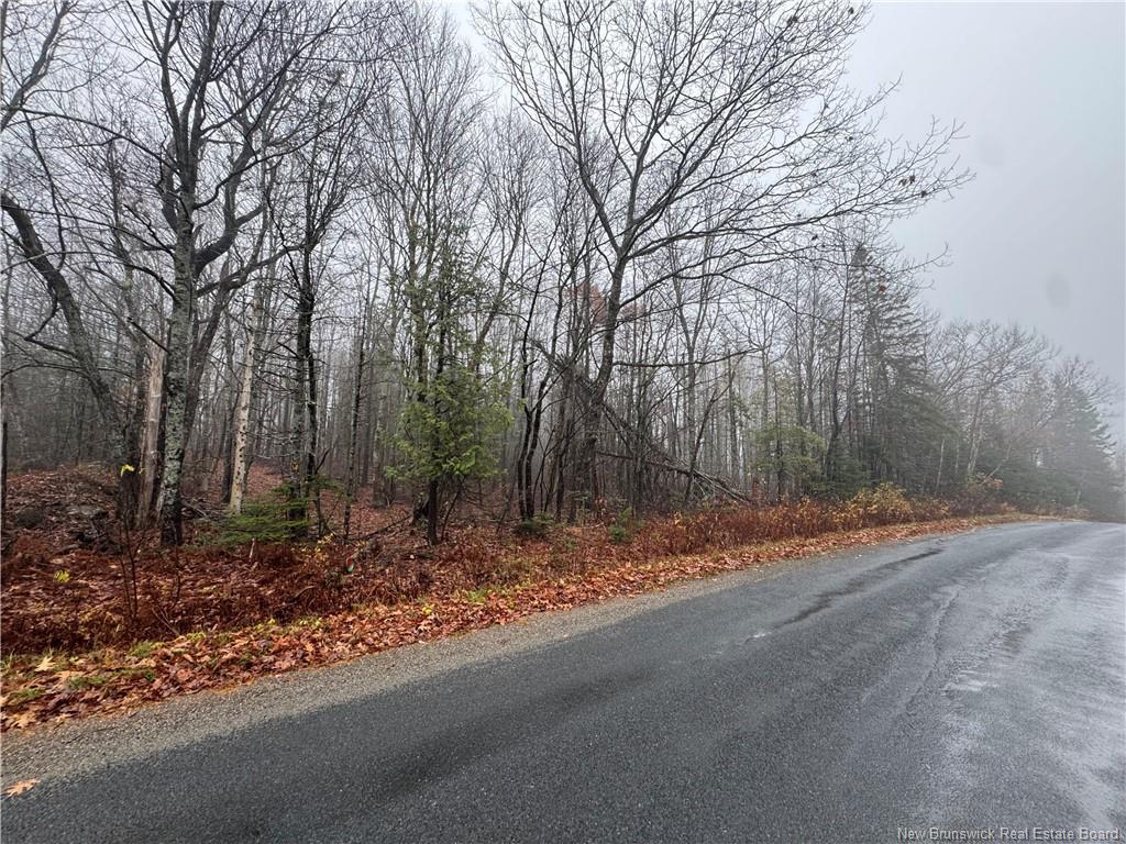 25-01 St. David Ridge Rd, Oak Bay, NB