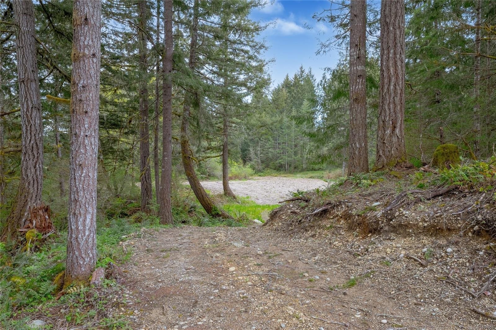 Lot 4 Barnjum Rd, Duncan, BC