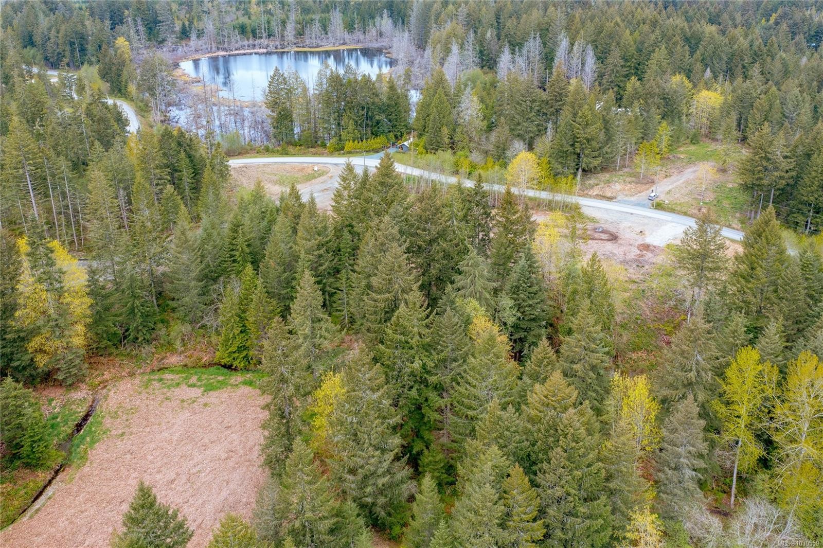 Lot 4 Barnjum Rd, Duncan, BC