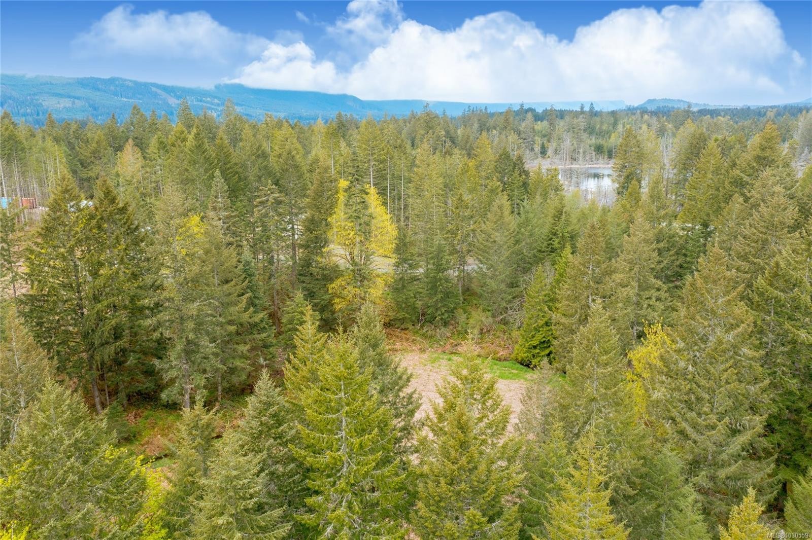Lot 4 Barnjum Rd, Duncan, BC