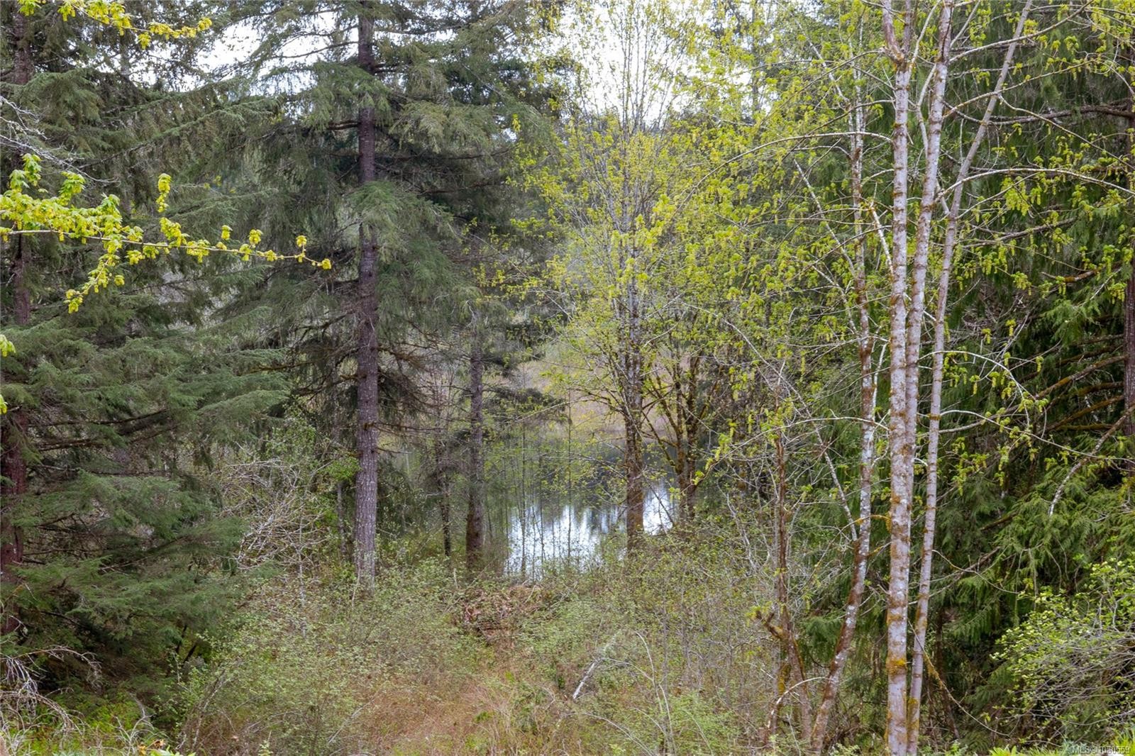 Lot 4 Barnjum Rd, Duncan, BC