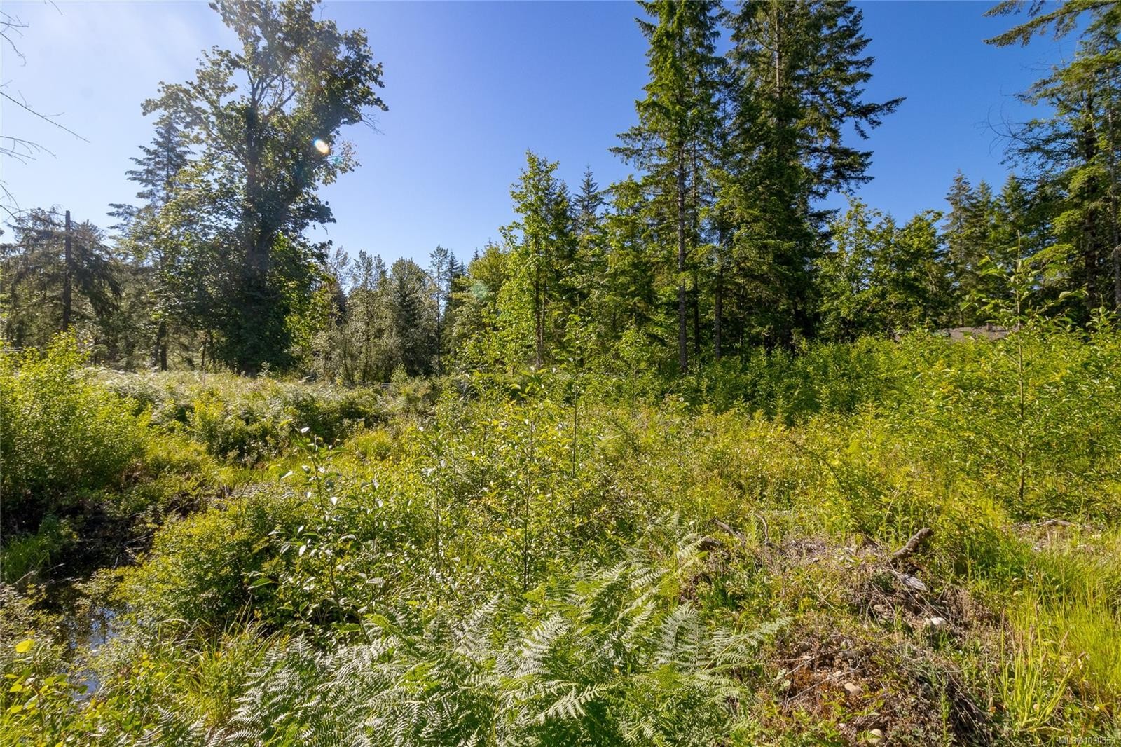 7 Sunrise Rd, Duncan, BC