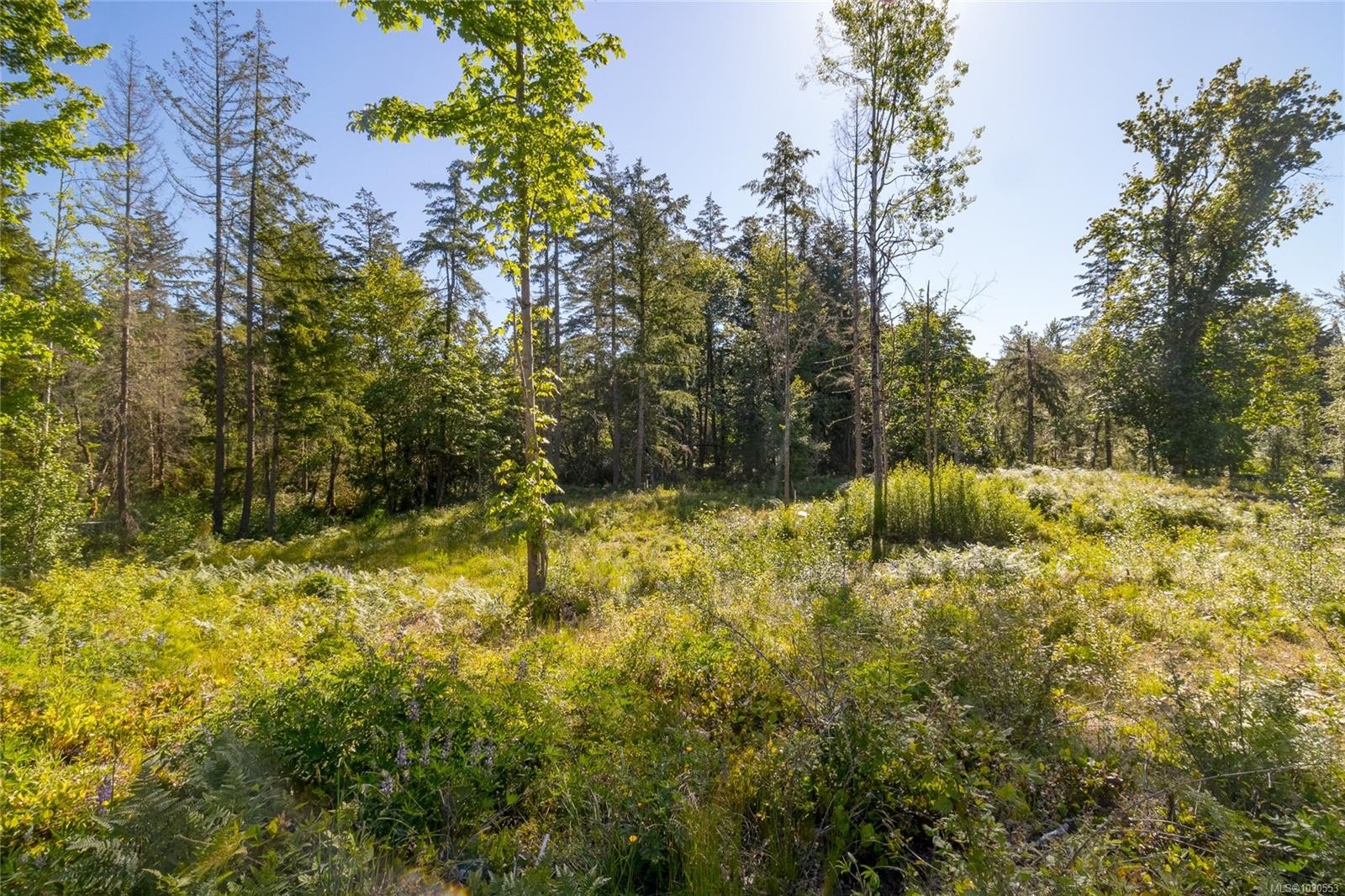 7 Sunrise Rd, Duncan, BC