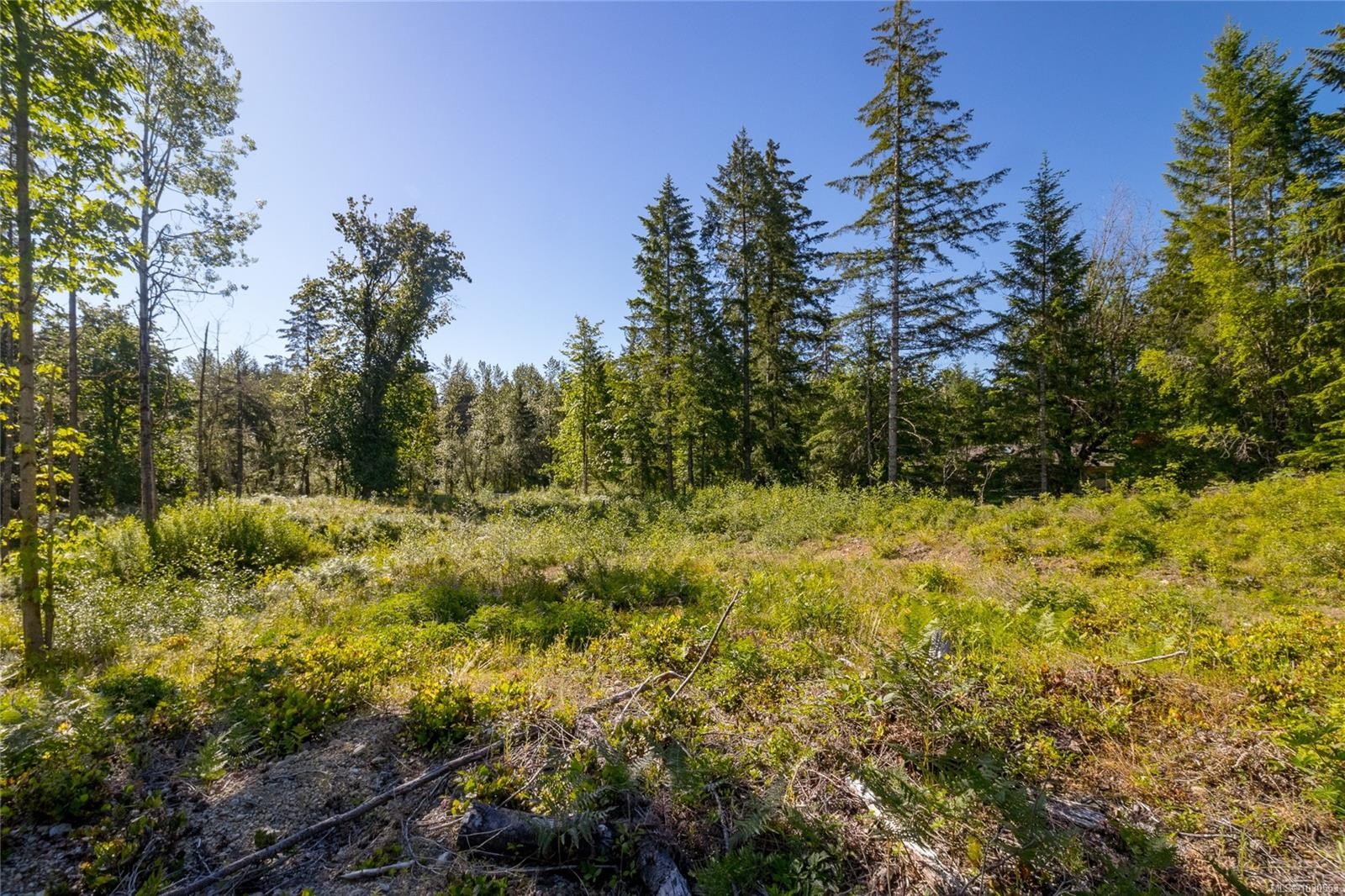 7 Sunrise Rd, Duncan, BC