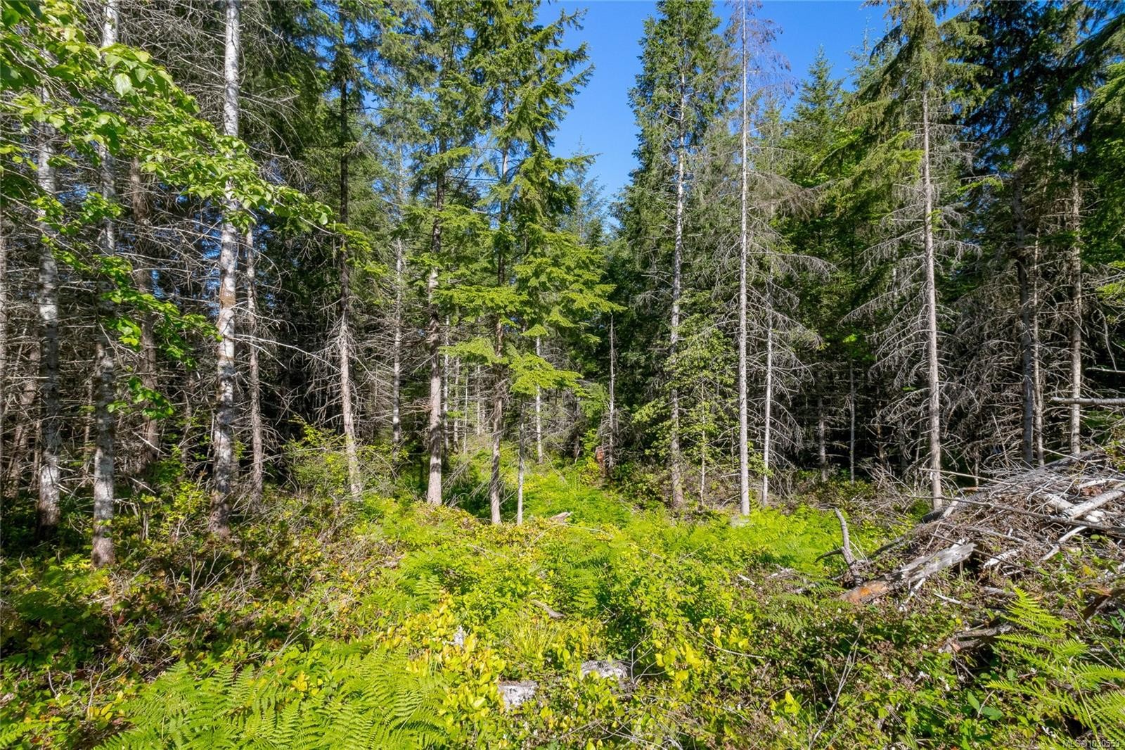 7 Sunrise Rd, Duncan, BC