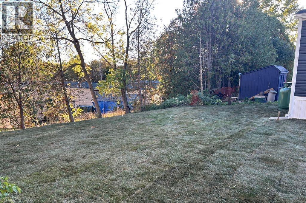 View of green lawn featuring view of wooded area - 24 Macpherson Crescent, Flamborough, ON - Outdoor