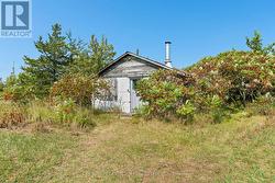 Guest cabin 1 - 