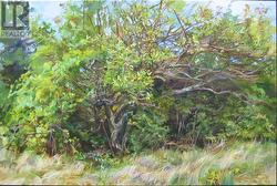 \"The Witching Tree\" (painting) - 