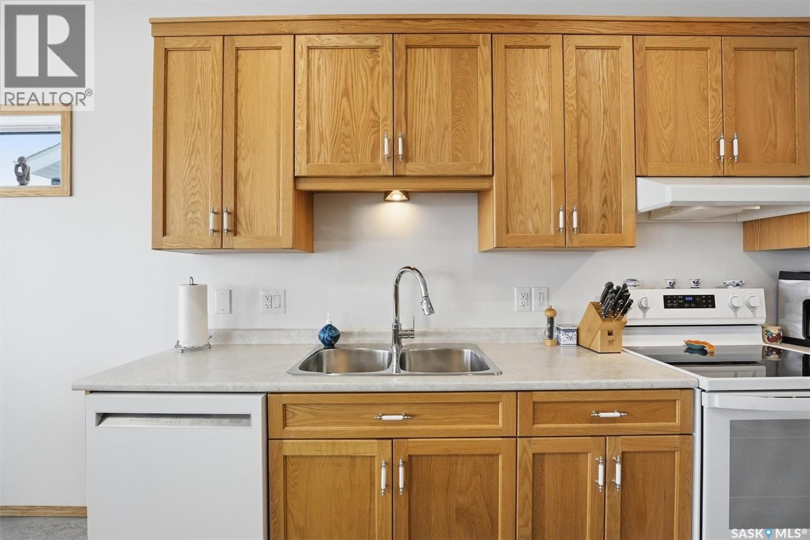 13 315 Olson Lane W, Saskatoon, SK - Indoor Photo Showing Kitchen With Double Sink