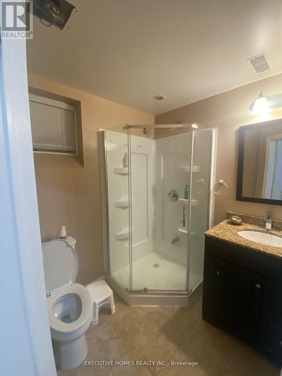 78 Assisi Street, Hamilton, ON - Indoor Photo Showing Bathroom