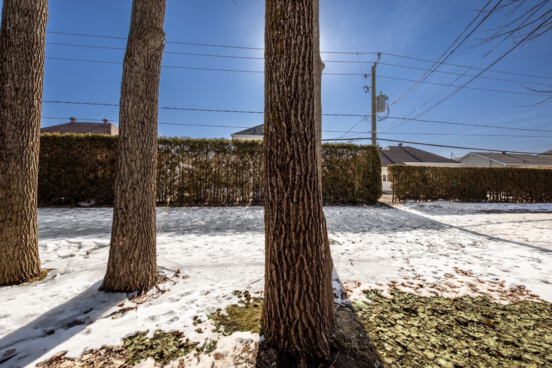 Extérieur - 457 Rue Du Mimosa, Saint-Amable, QC - Outdoor