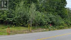 837 ASPDIN ROAD Huntsville (Chaffey), ON P1H 0H2