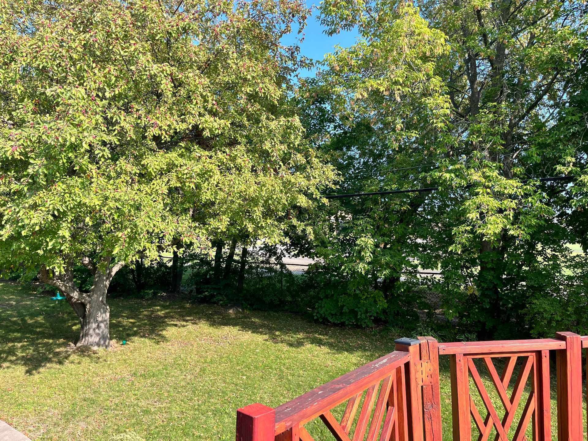 Cour - 182 Av. Duke-Of-Kent, Pointe-Claire, QC - Outdoor