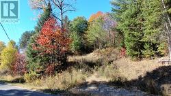 178 GAEBEL ROAD Bancroft (Bancroft Ward), ON K0L 1C0