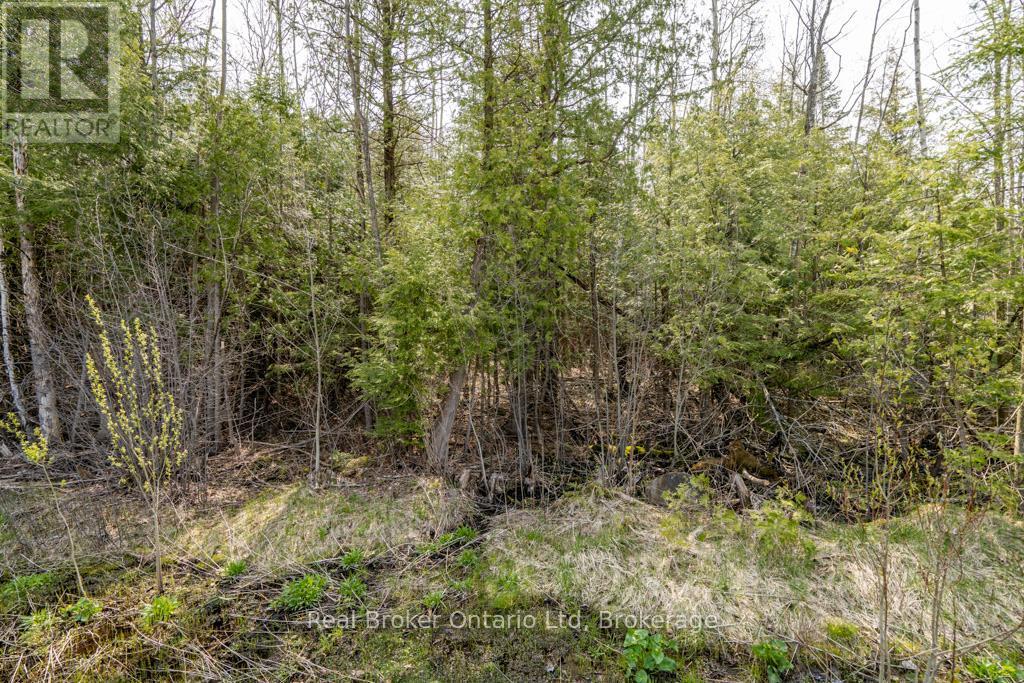 Lot 438 Champlain Road, Tiny, ON