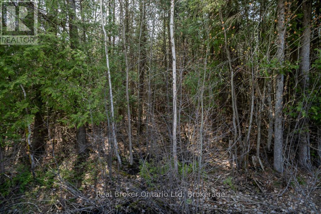 Lot 438 Champlain Road, Tiny, ON