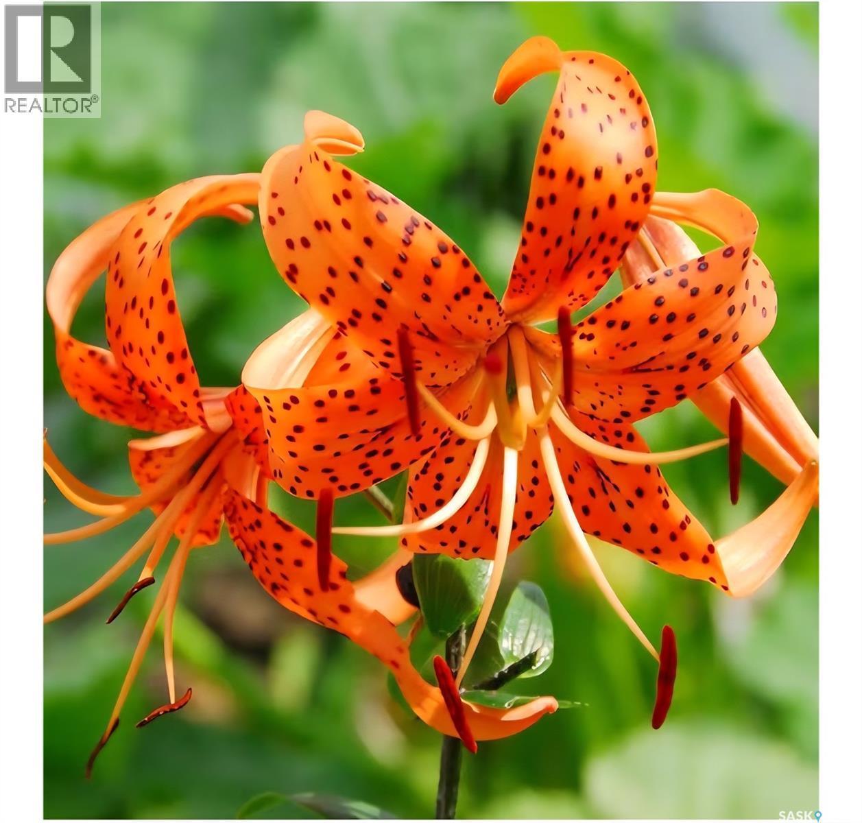 1011 Taylor Street E, Saskatoon, SK -