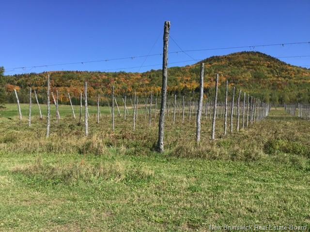 116 Maplehurst Rd, Maplehurst, NB