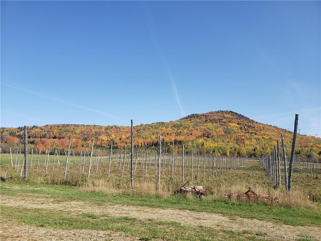 116 Maplehurst Rd, Maplehurst, NB