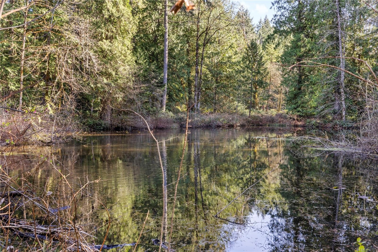 13475 Cedar Rd, Ladysmith, BC