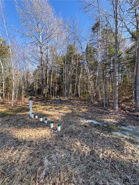 225 Waterville Rd, Waterville, NB