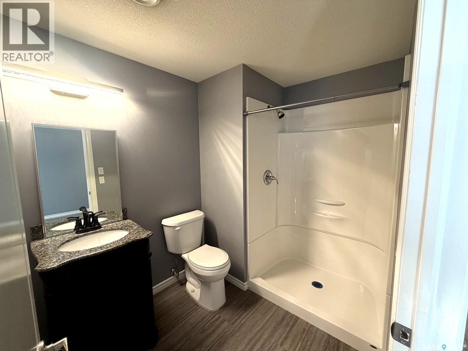 103 Plains Circle, Pilot Butte, SK - Indoor Photo Showing Bathroom