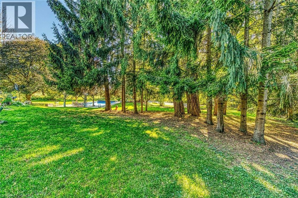 View of green lawn featuring an outdoor pool - 5590 Blind Line, Burlington, ON - Outdoor