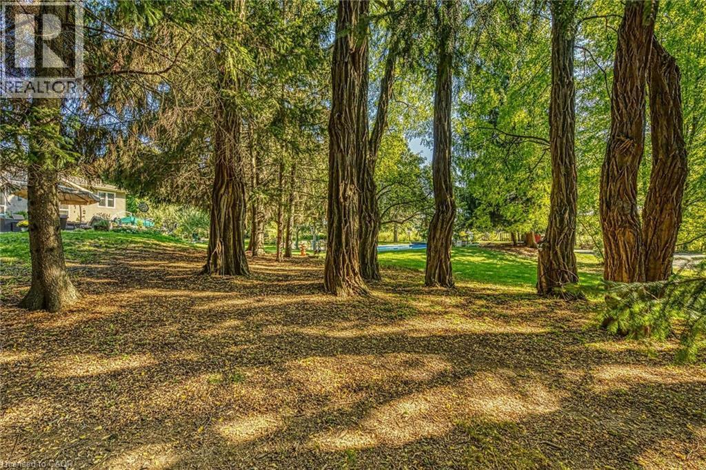 View of yard - 5590 Blind Line, Burlington, ON - Outdoor With View