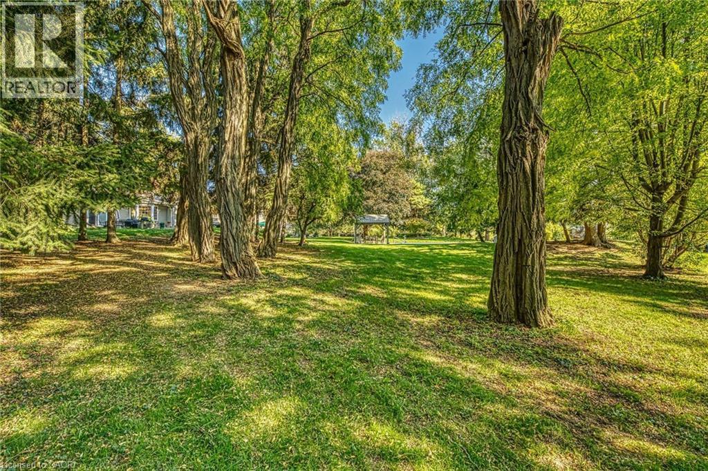 View of green lawn featuring view of wooded area - 5590 Blind Line, Burlington, ON - Outdoor With View