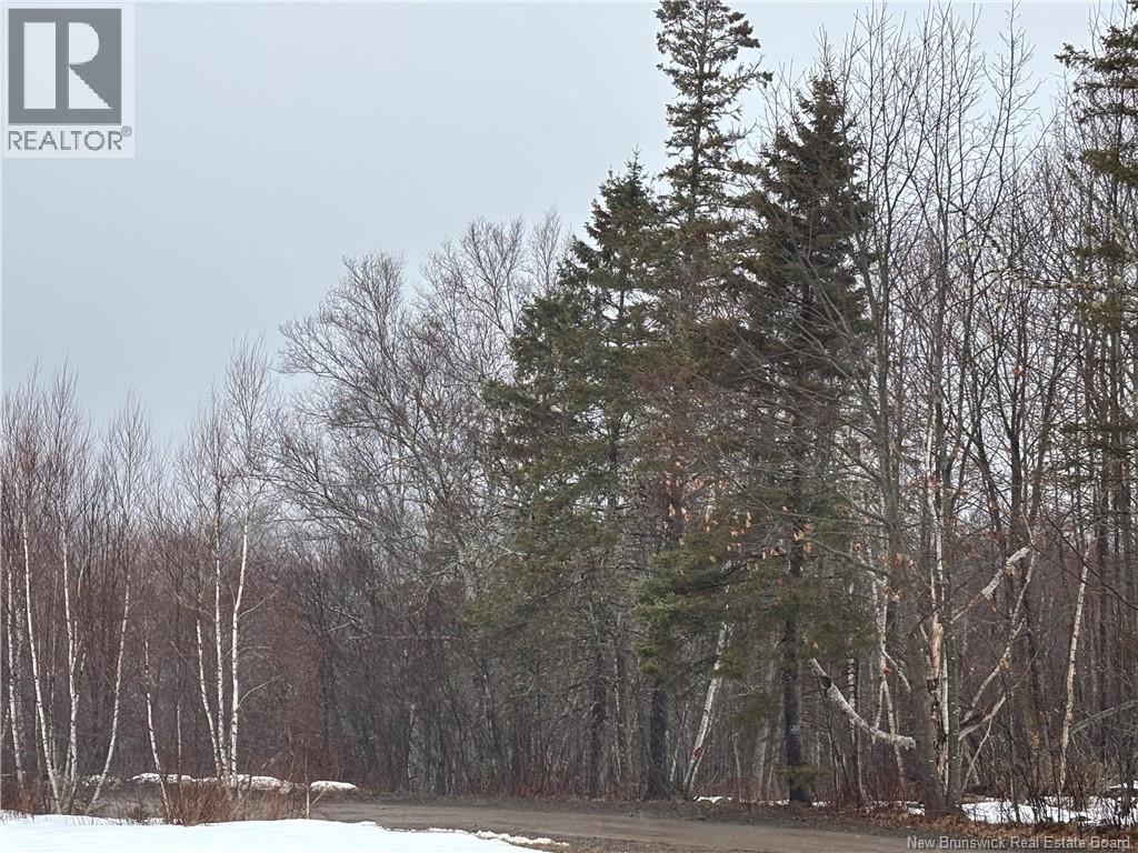 0 Route 127, Bayside, NB