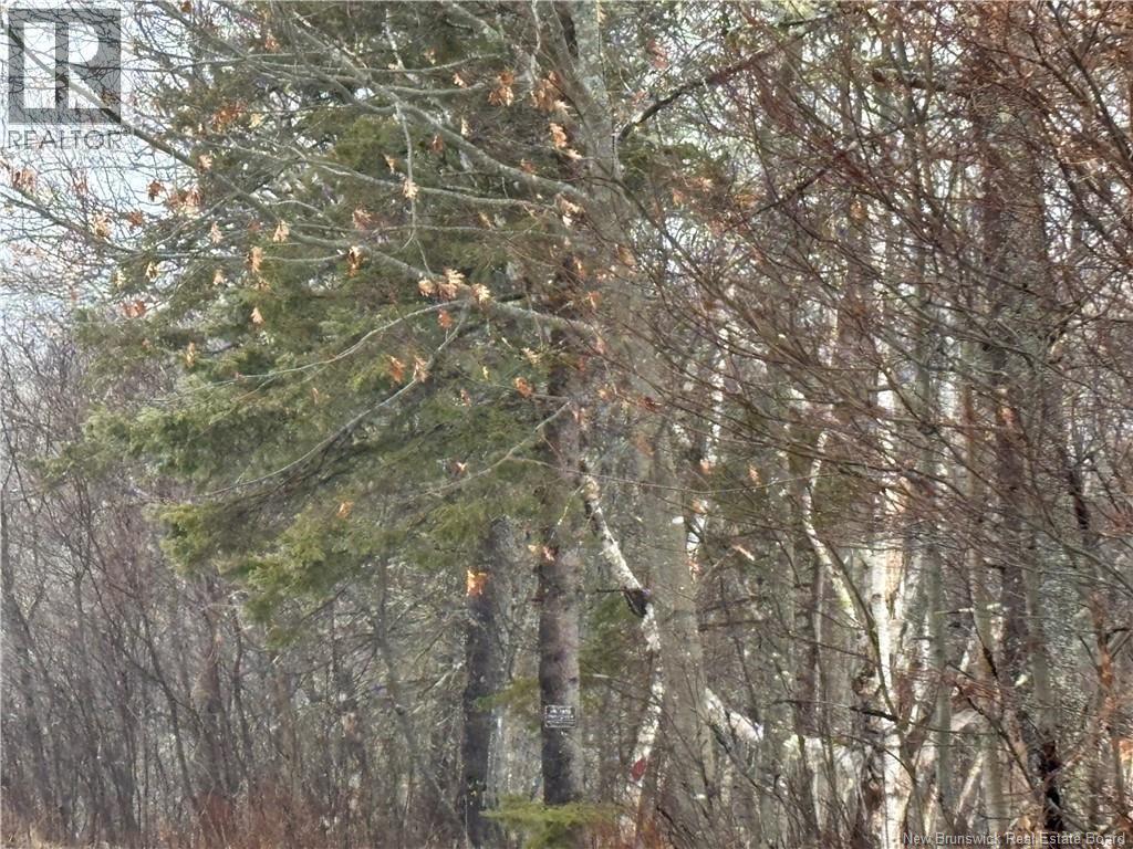 0 Route 127, Bayside, NB