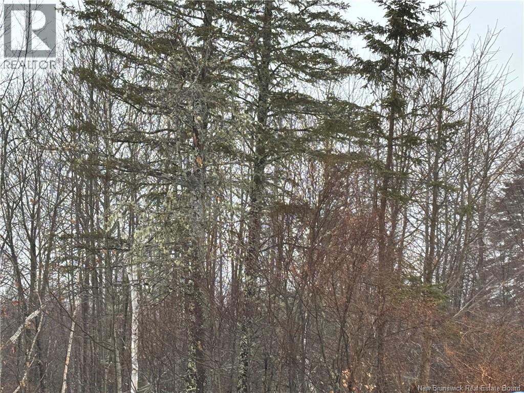 0 Route 127, Bayside, NB