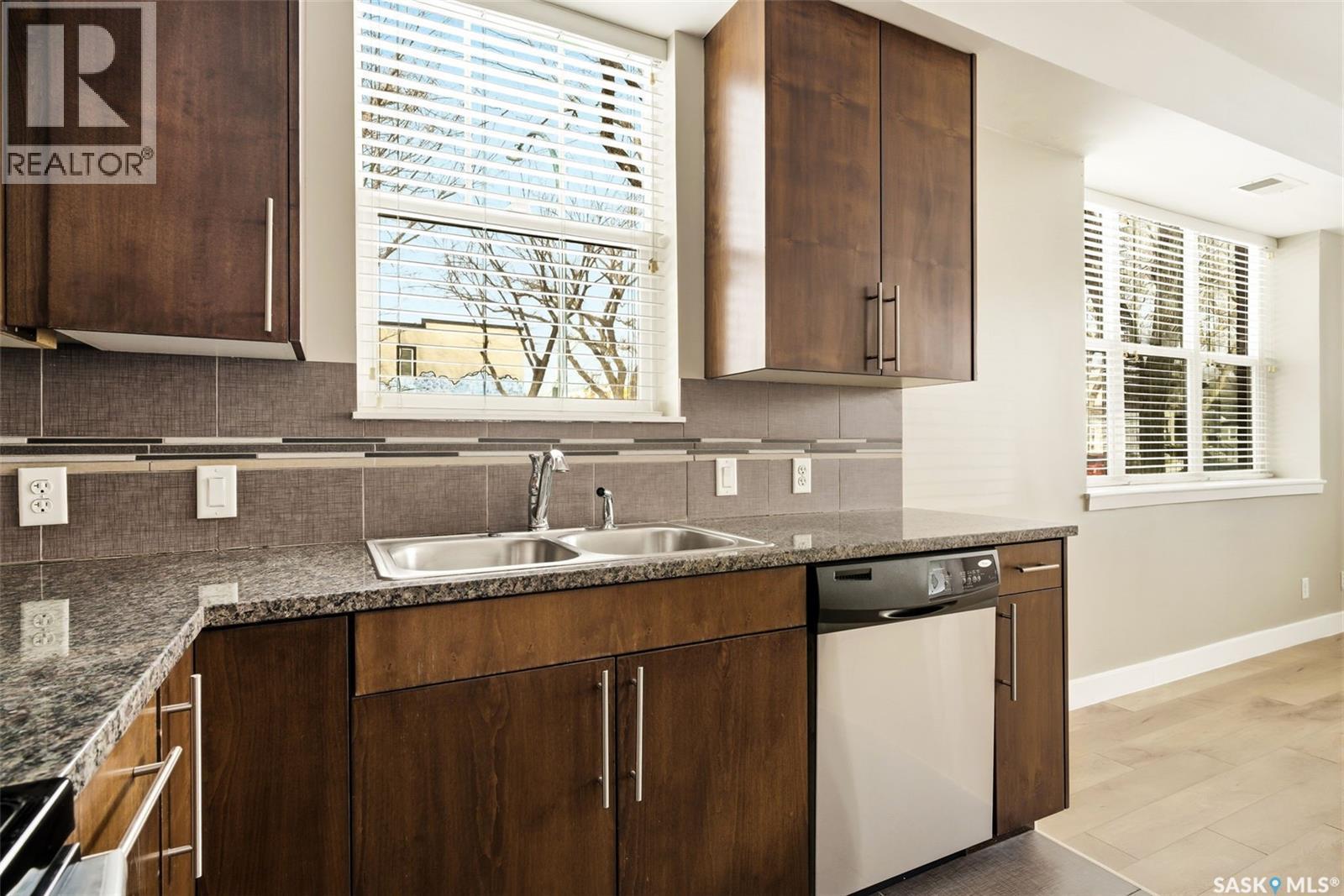 101 2313 Montreal Street, Regina, SK - Indoor Photo Showing Kitchen With Double Sink