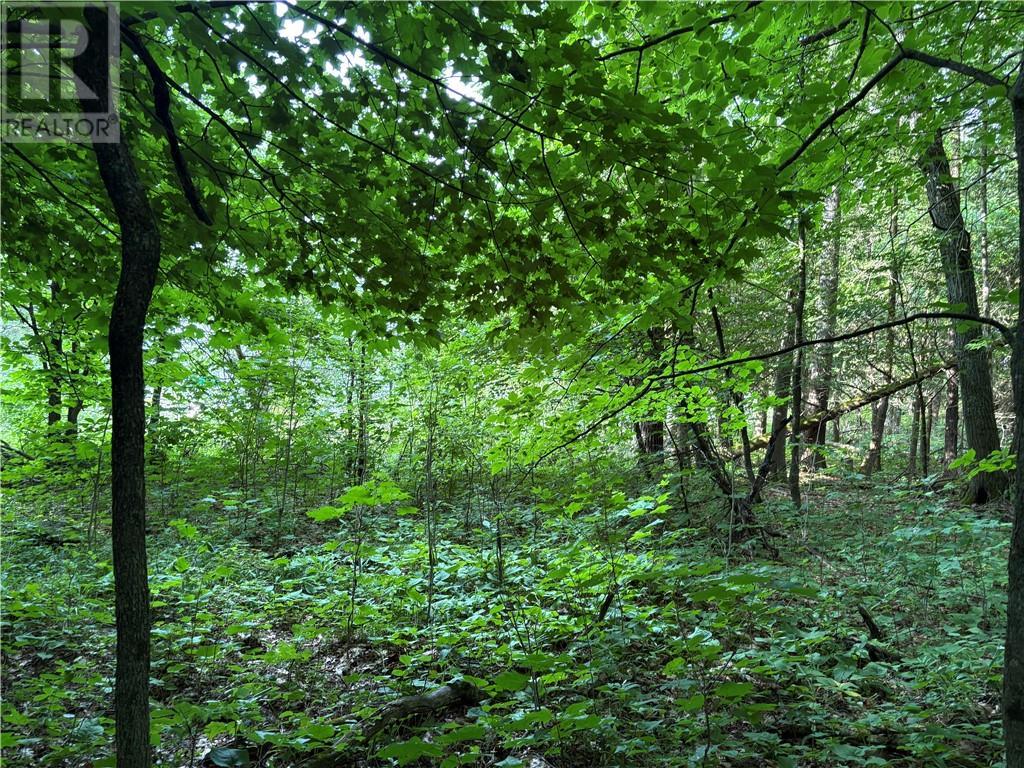 00 Lansdowne Channel, Killarney, ON