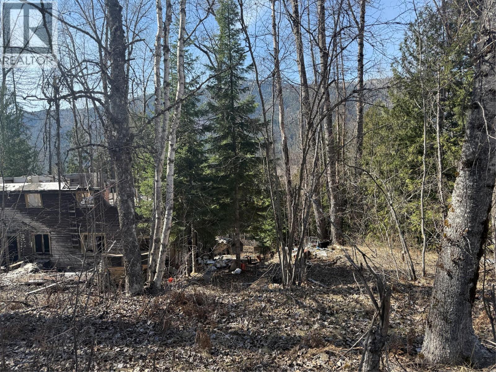 Vector Road Lot# 7, Salmo, BC