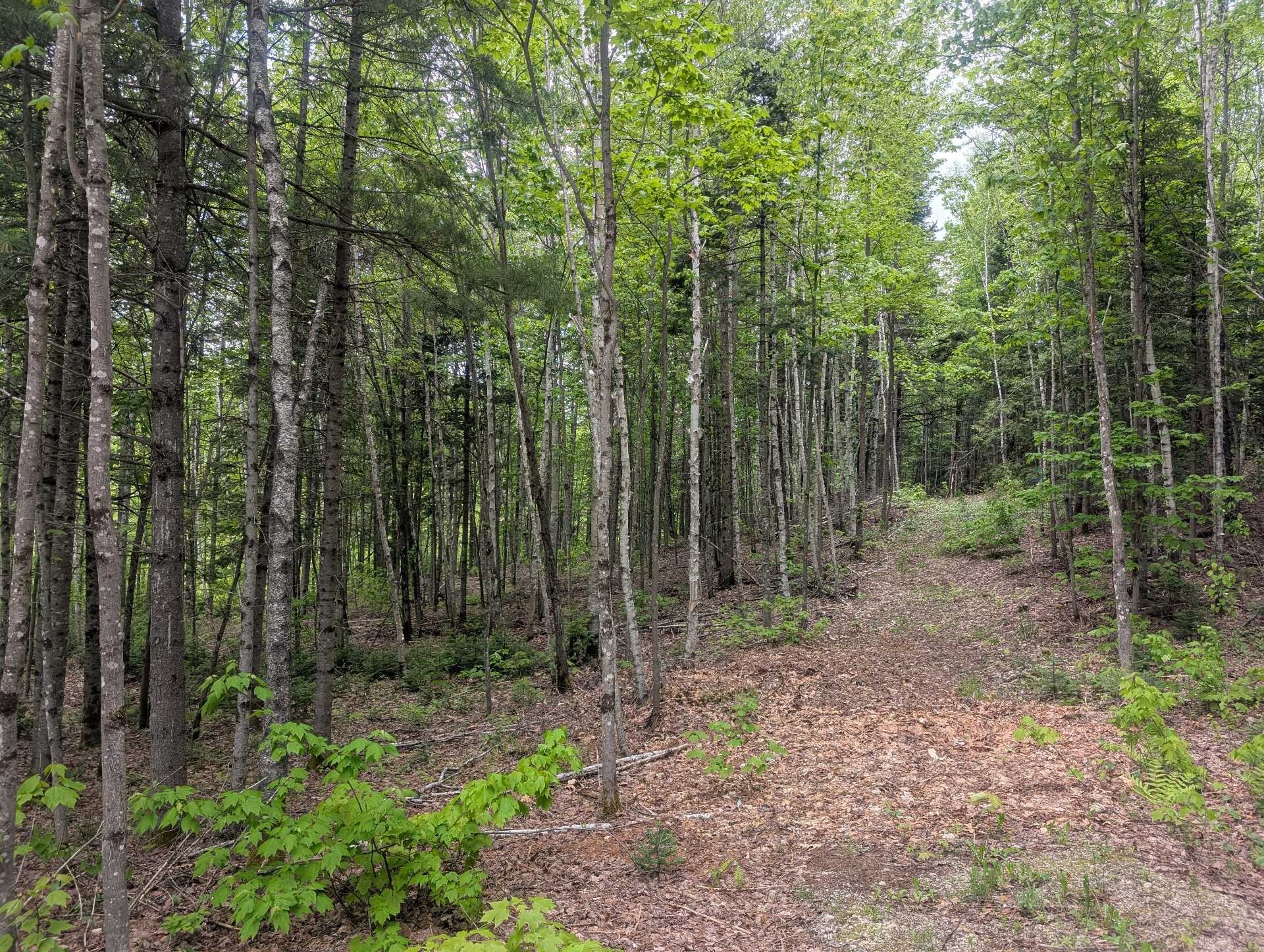 Terre/Terrain - Rue Latour, Sainte-Béatrix, QC