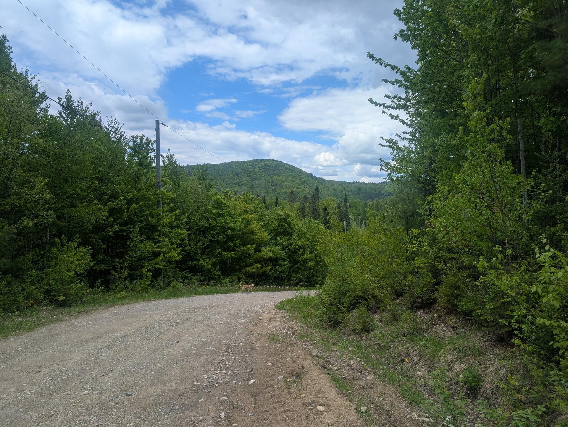 Vue - Rue Latour, Sainte-Béatrix, QC
