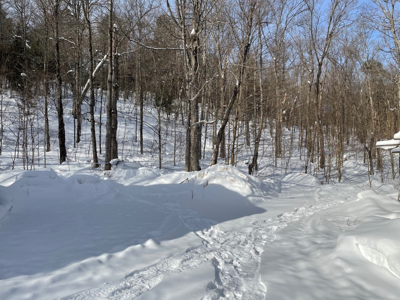 Exterior - Z Route 101, Témiscaming, QC - Outdoor With View