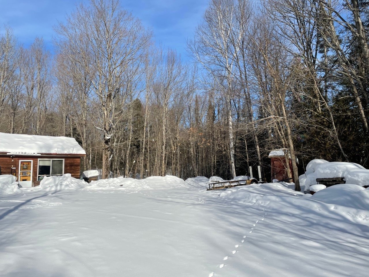 Maple grove - Z Route 101, Témiscaming, QC - Outdoor