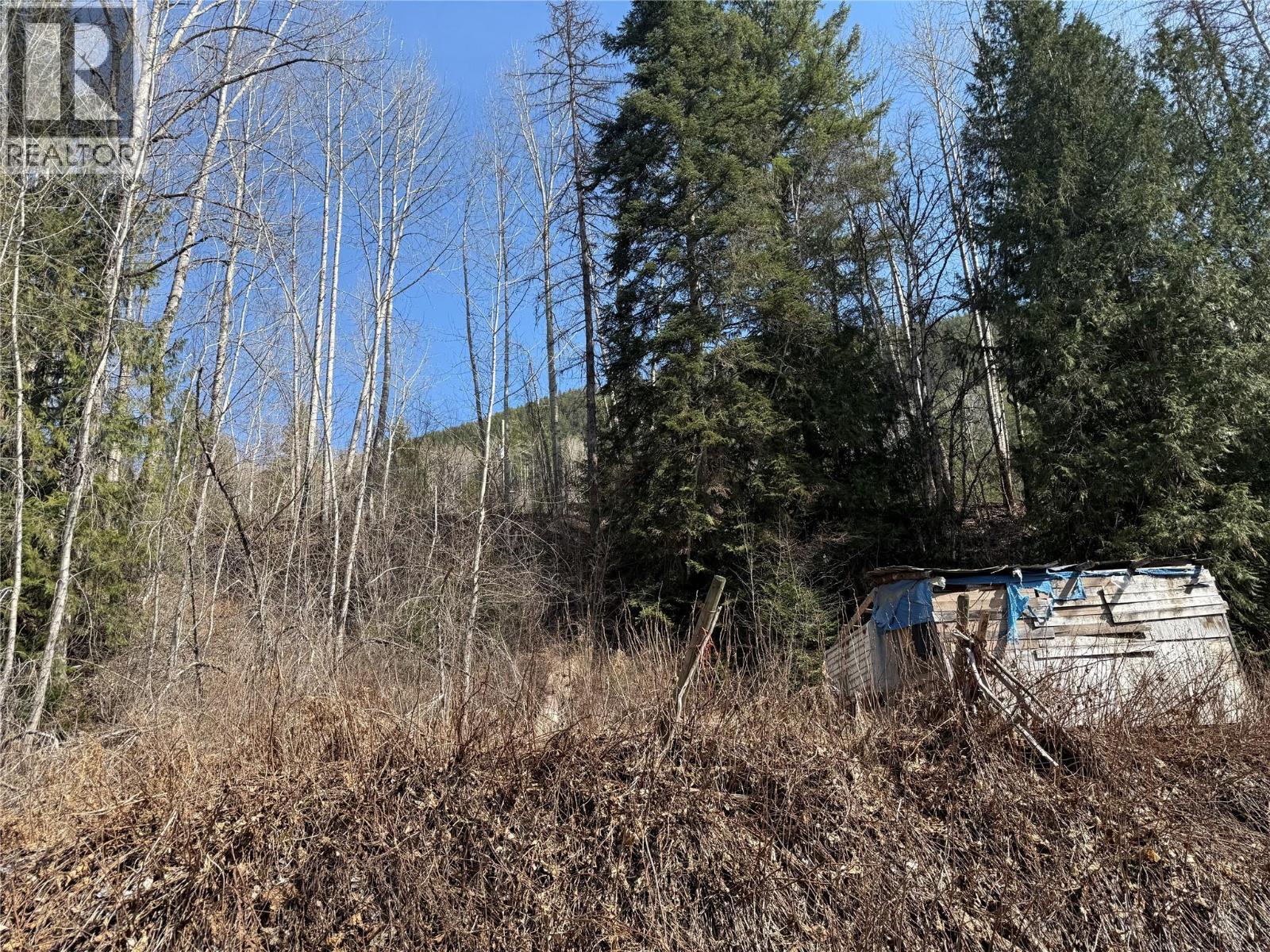 Vector Road Lot# 11, Salmo, BC